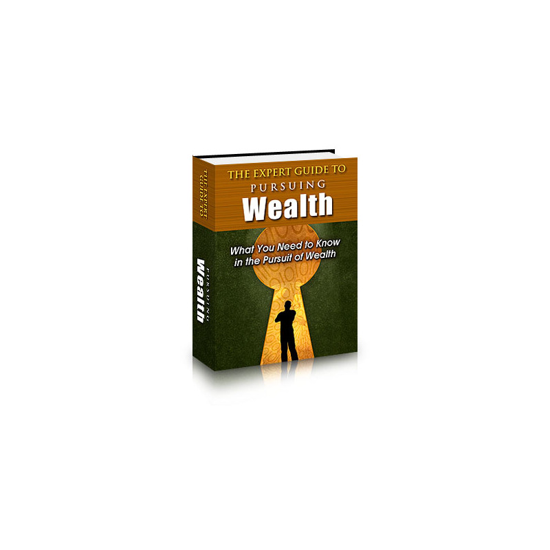 The Expert Guide to Pursuing Wealth