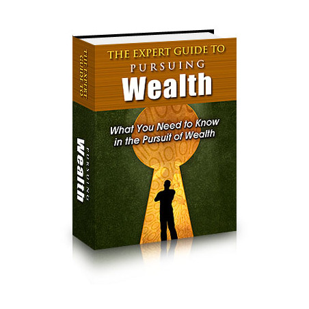 The Expert Guide to Pursuing Wealth