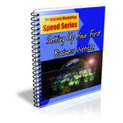 Setting up Your First Business Website