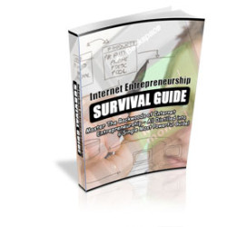 Internet Entrepreneurship Survival Guide