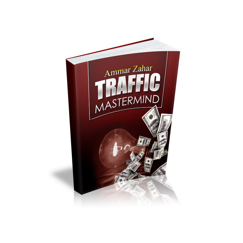 Traffic Mastermind