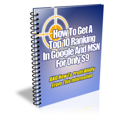 How to Get a Top Ranking in Google and MSN for Only $9