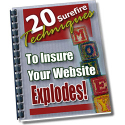 20 Surefire Techniques to Insure Your Website Explodes!