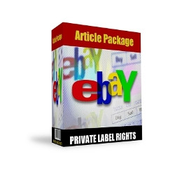 $1000 in One Week on eBay