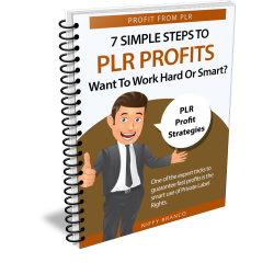 7 Simple Steps to PLR Profits