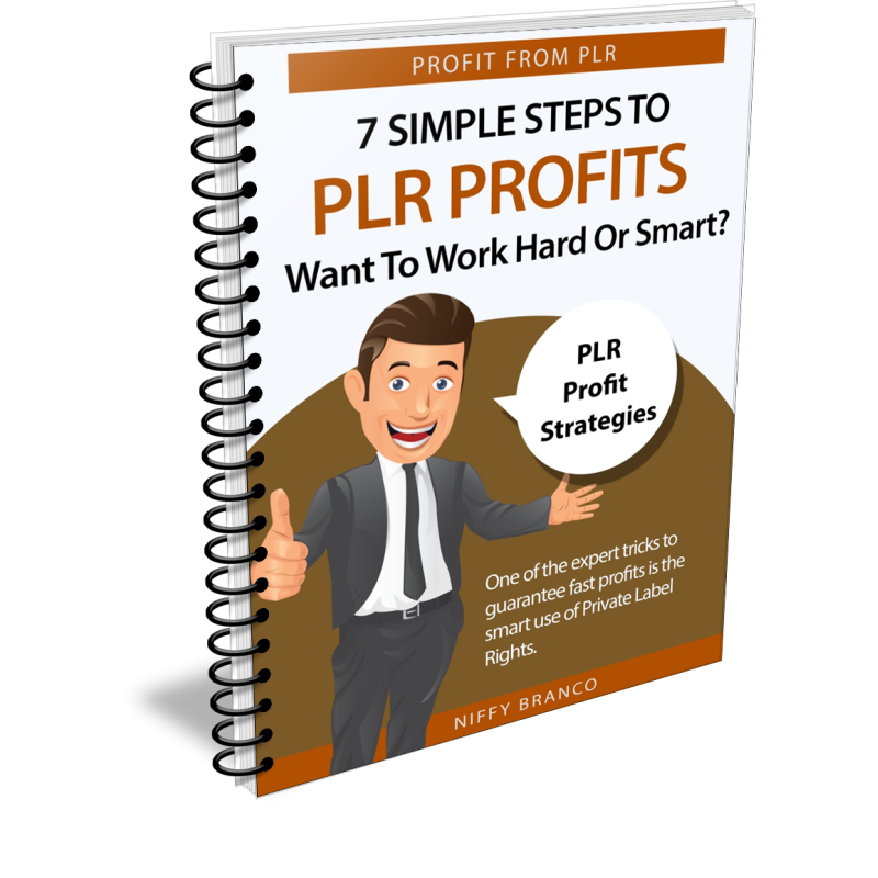 7 Simple Steps to PLR Profits