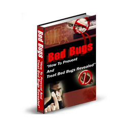 Bed Bugs