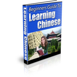 Beginners Guide to Learning Chinese