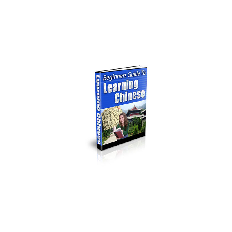 Beginners Guide to Learning Chinese