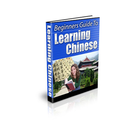 Beginners Guide to Learning Chinese