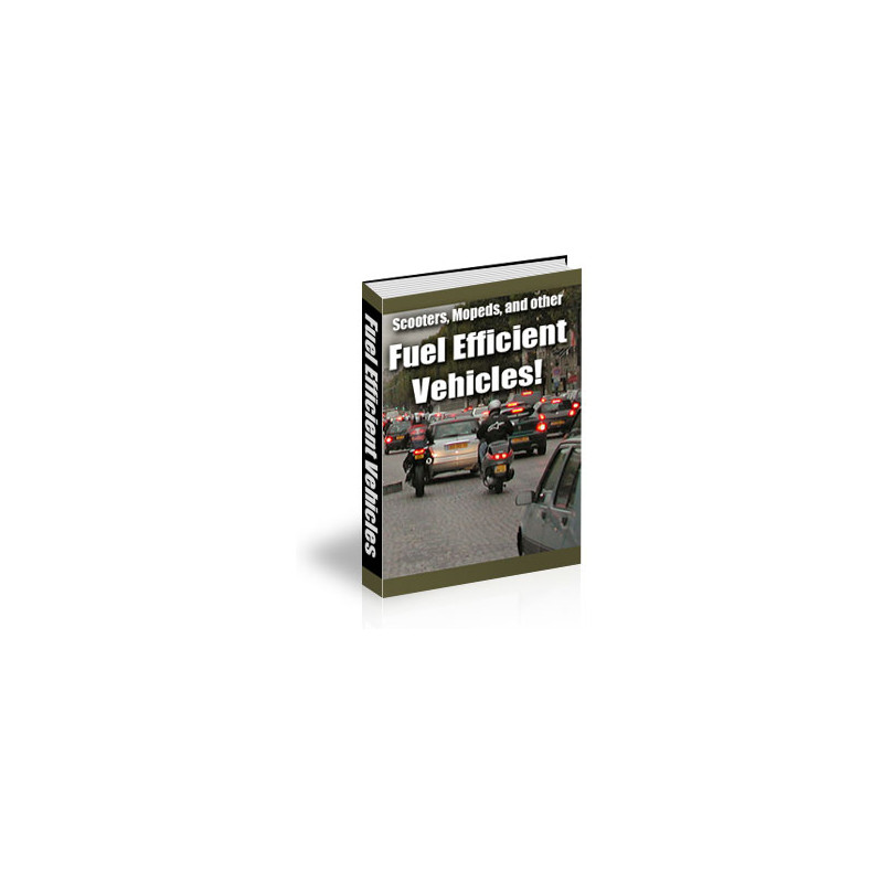 Scooters, Mopeds, and Other Fuel Efficient Vehicles