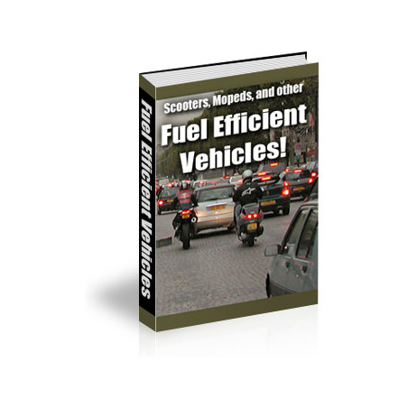 Scooters, Mopeds, and Other Fuel Efficient Vehicles