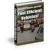 Scooters, Mopeds, and Other Fuel Efficient Vehicles