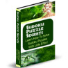 Sudoku Puzzle Secrets