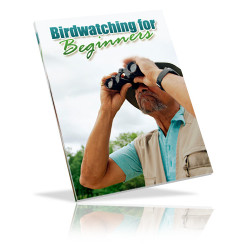 Birdwatching for Beginner