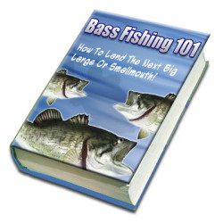 Bass Fishing 101
