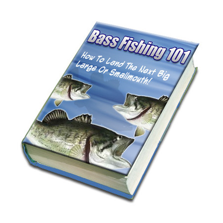 Bass Fishing 101