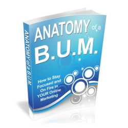 Anatomy of a BUM
