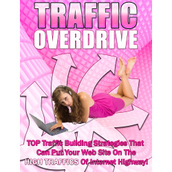 Traffic Overdrive